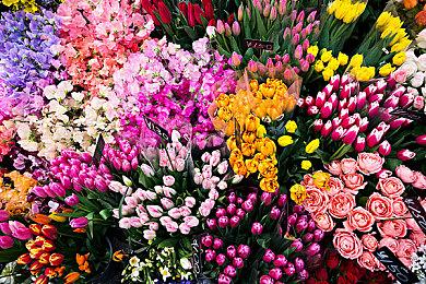 任天堂Switch独立游戏大促12月13日开启 精品好玩齐聚